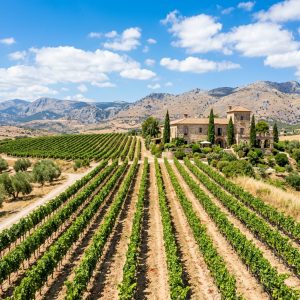 Viñedos de Ronda y bodega tradicional de sillería de piedra bajo un cielo azul
