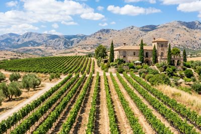 Viñedos de Ronda y bodega tradicional de sillería de piedra bajo un cielo azul