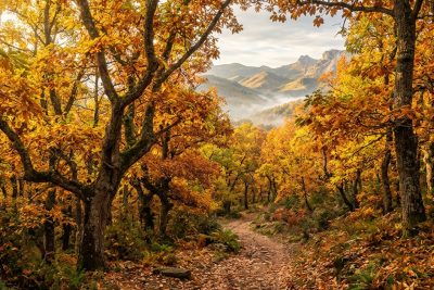 Paisaje espectacular del Valle del Genal y el Bosque de Cobre en otoño con castaños dorados en la Serranía de Ronda