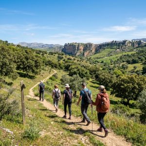 Grupo de senderistas caminando plácidamente por un sendero llano de dehesa verde cerca de Ronda